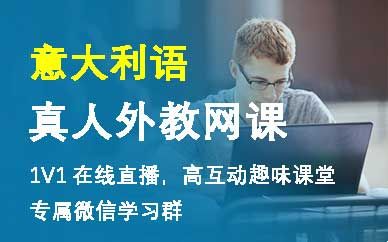 【网校】真人外教网课