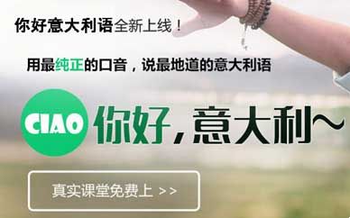 你好学校，只做意大利语培训对吗？